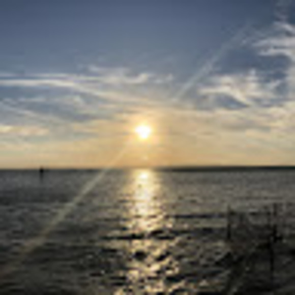 Meet your Posher, Ariana - Picture 1 of 1